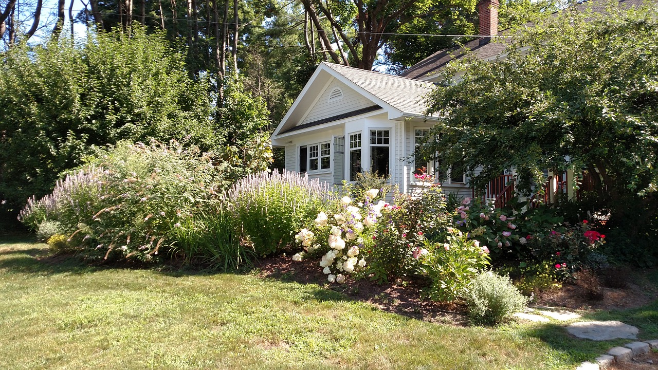 シルバーリーフの植物をご紹介!新築住宅の庭に似合うおしゃれな植物