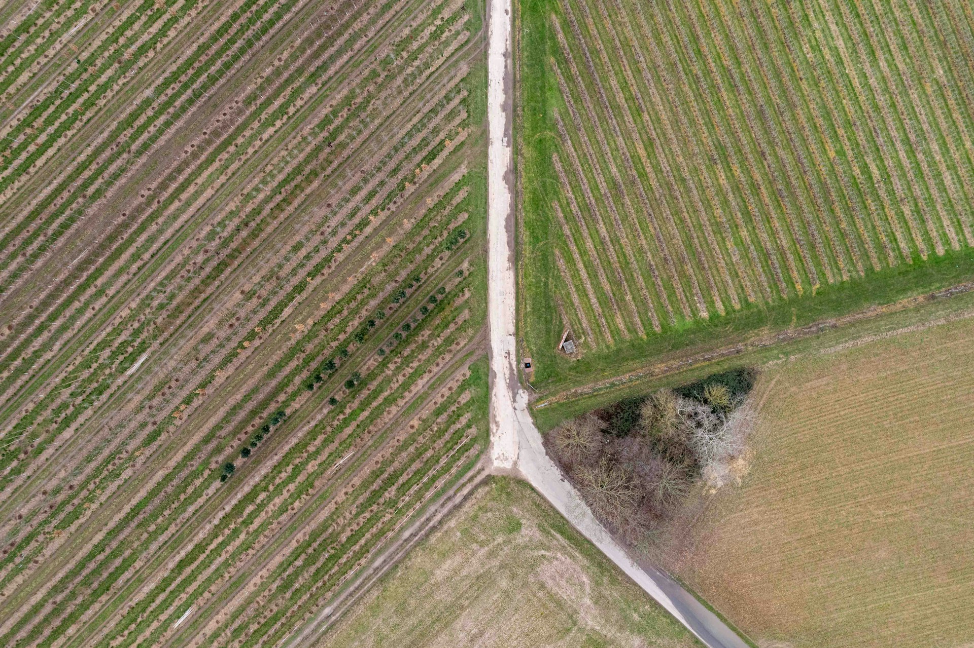 土地の履歴って具体的にどんなこと?