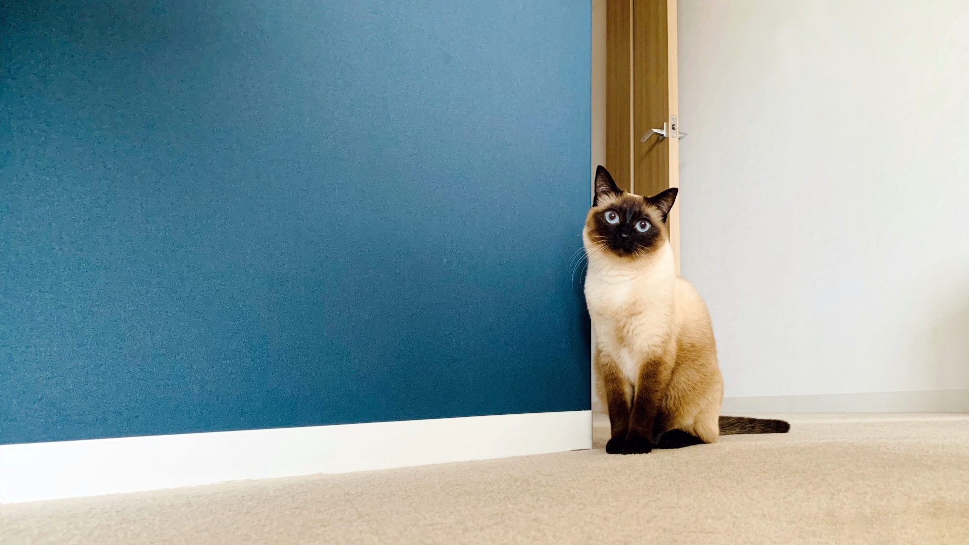 アクセントクロスで後悔しないために！よくある失敗例と成功のコツ