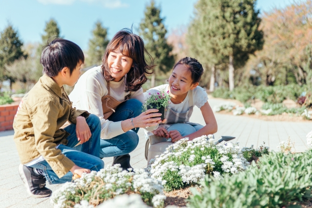 注文住宅だからできる家庭菜園｜室内・屋外の違いと失敗しない計画ポイント
